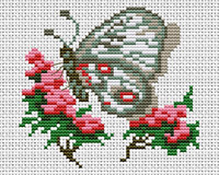 Набор для вышивания Panna Бабочка, Аполлон Д-0211